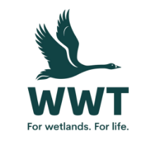 WWT logo